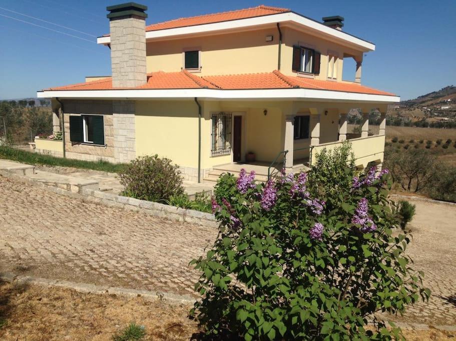 拉梅戈Casa Dos Copins别墅 外观 照片
