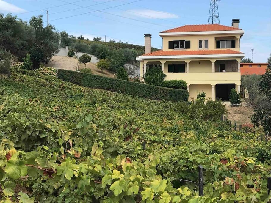拉梅戈Casa Dos Copins别墅 外观 照片